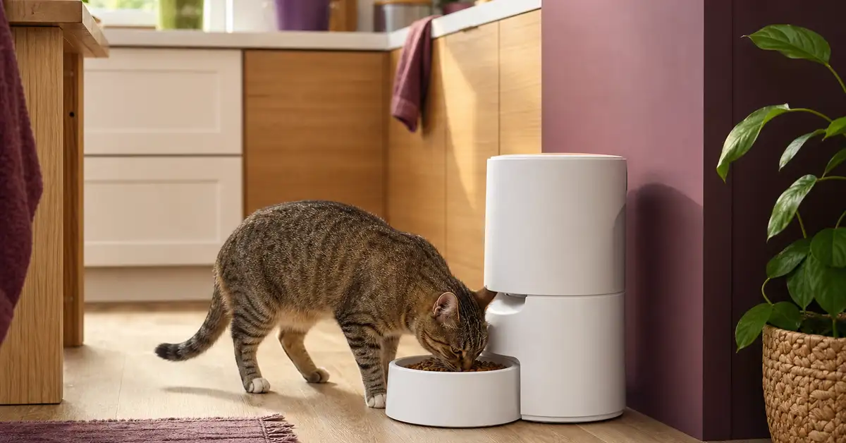 A generic automatic pet feeder in a bright home kitchen with a cat approaching to eat